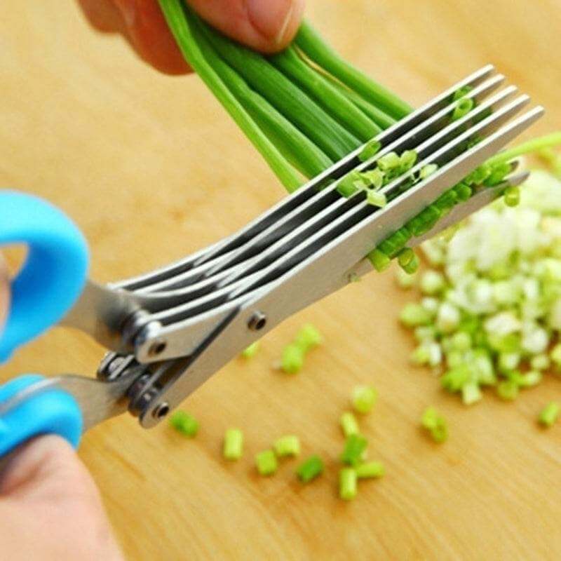 Multifunctional Multi-layer Green Onion Scissors Stainless Steel Onion Cutting Knife Herb Seaweed Spice Scissors Kitchen Scissor Kitchen Gadgets - Gadget Aliens