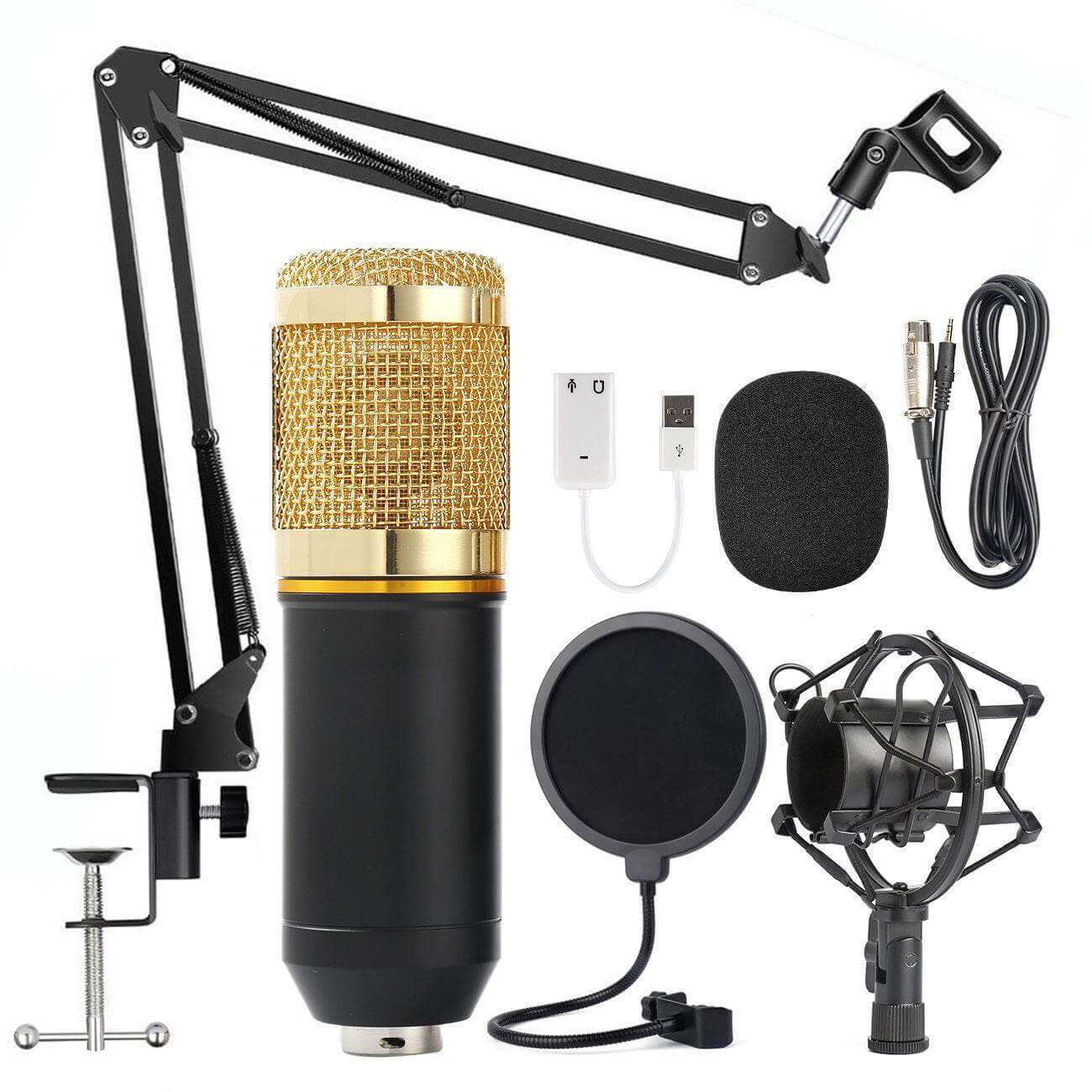 Shouting Microphone Recording Live K Song Podcast - Gadget Aliens