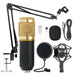 Shouting Microphone Recording Live K Song Podcast - Gadget Aliens