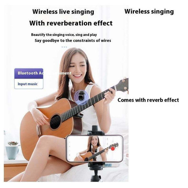 Wireless Microphone Bluetooth Accompaniment Comes With Reverb - Gadget Aliens 