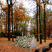 Outdoor Emergency Survival Sleeping Bag - Gadget Aliens 