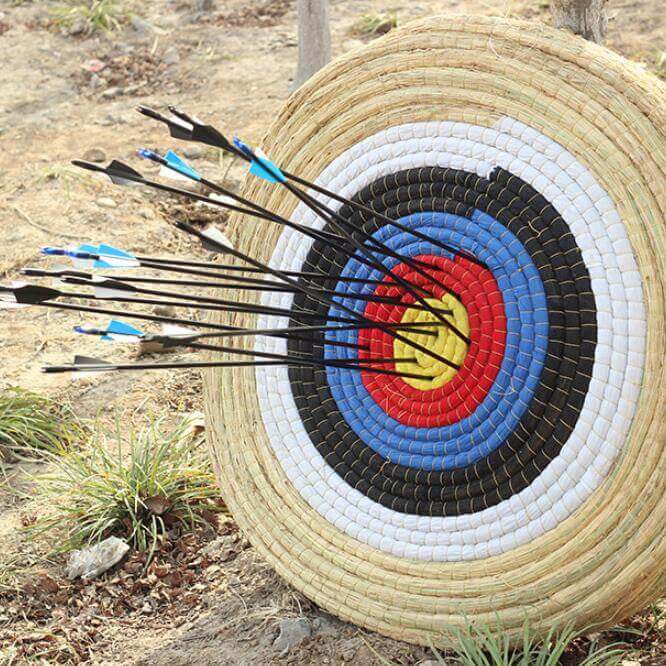 Novice Practicing Arrows In The Scenic Area Arrow Hall - Gadget Aliens 