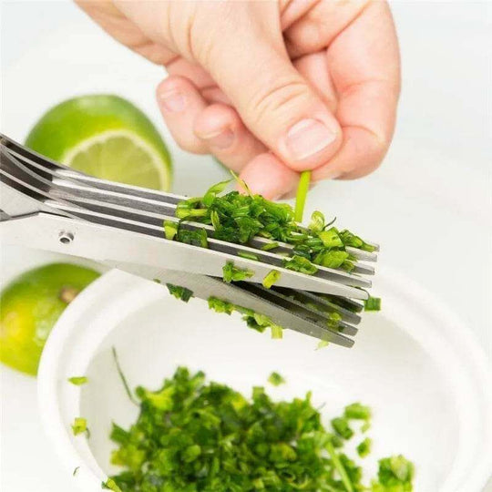 Multifunctional Multi-layer Green Onion Scissors Stainless Steel Onion Cutting Knife Herb Seaweed Spice Scissors Kitchen Scissor Kitchen Gadgets - Gadget Aliens 