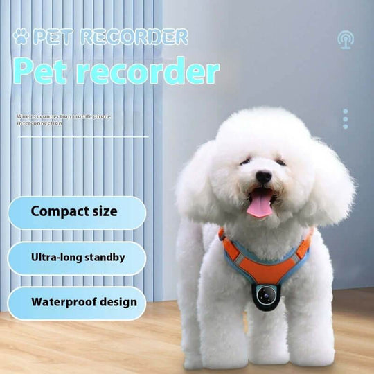 Pets Recorder Pet Tracker Collar Dogs And Cats Viewing Angle Motion Recording Camera Action Camera With Video Records Cat Collars Camera Sport Pet Products - Gadget Aliens 