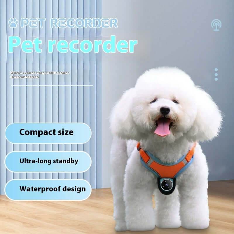 Pets Recorder Pet Tracker Collar Dogs And Cats Viewing Angle Motion Recording Camera Action Camera With Video Records Cat Collars Camera Sport Pet Products - Gadget Aliens 