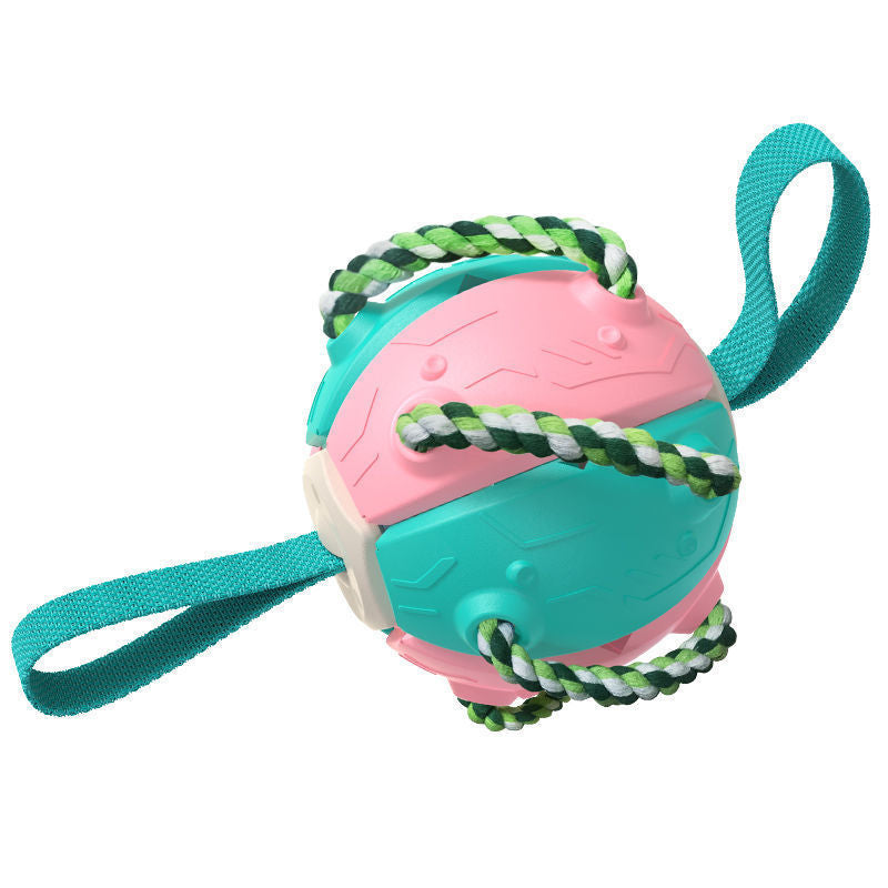 Pink and teal ball with a rope on a white background