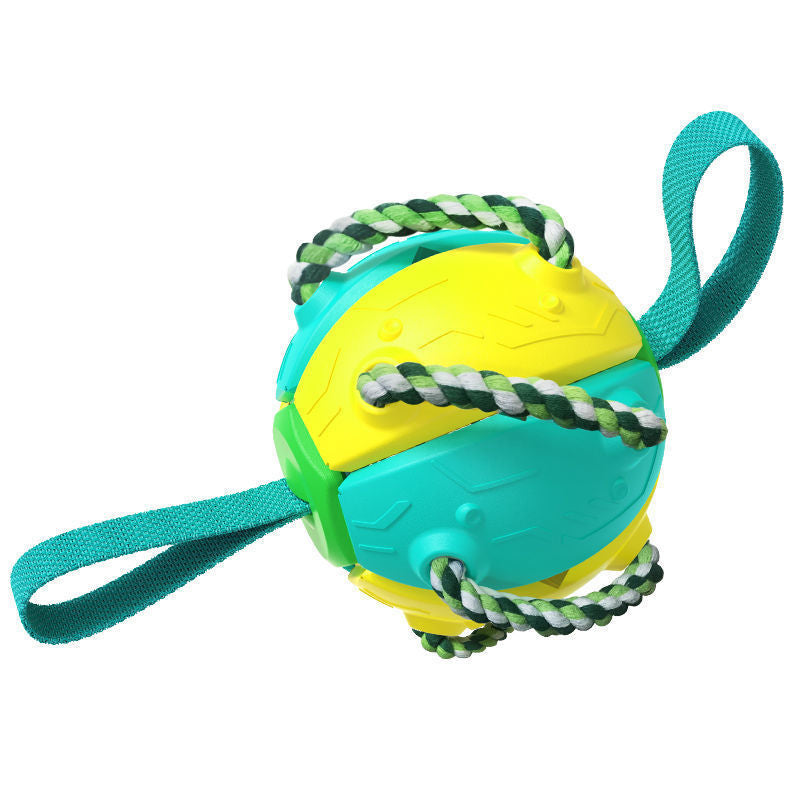 Colorful dog toy with a rope on a white background