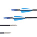 Novice Practicing Arrows In The Scenic Area Arrow Hall - Gadget Aliens 