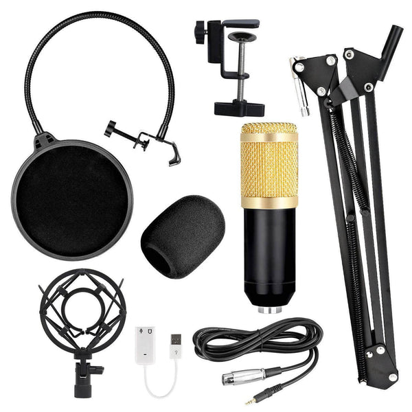 Shouting Microphone Recording Live K Song Podcast - Gadget Aliens 