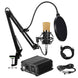 Shouting Microphone Recording Live K Song Podcast - Gadget Aliens 