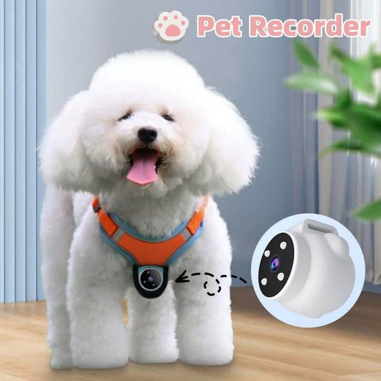 Pets Recorder Pet Tracker Collar Dogs And Cats Viewing Angle Motion Recording Camera Action Camera With Video Records Cat Collars Camera Sport Pet Products - Gadget Aliens 